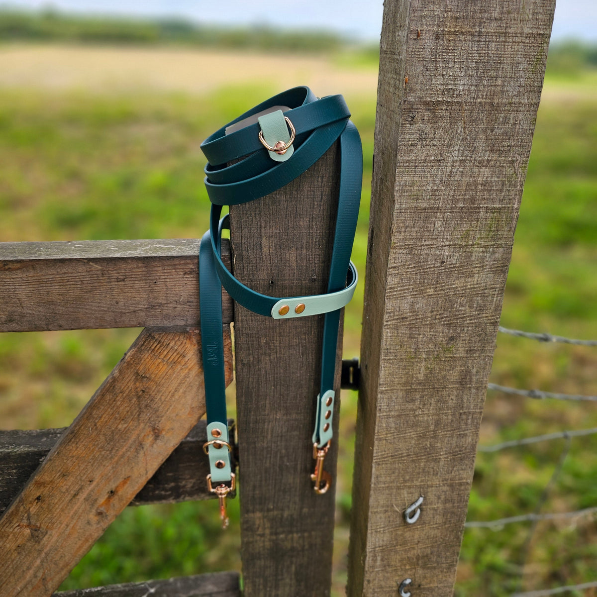 Dark Green & Sage - Waterproof BioThane© handsfree Dog Training Lead