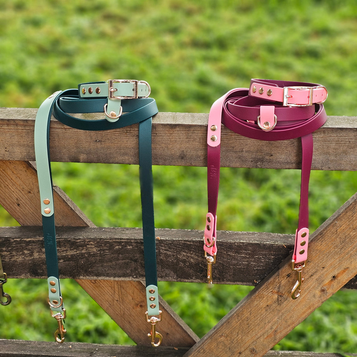 Dark Green & Sage - Waterproof BioThane© handsfree Dog Training Lead