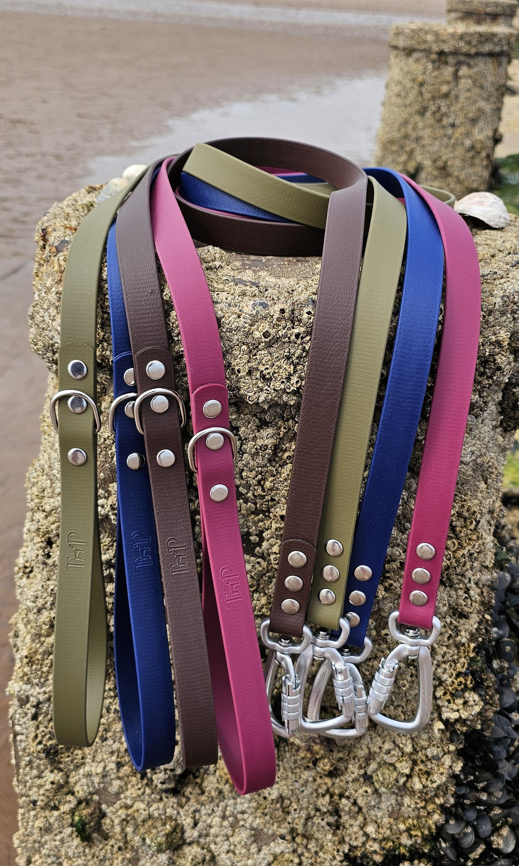 Teal - Everlast Waterproof BioThane© Dog Lead