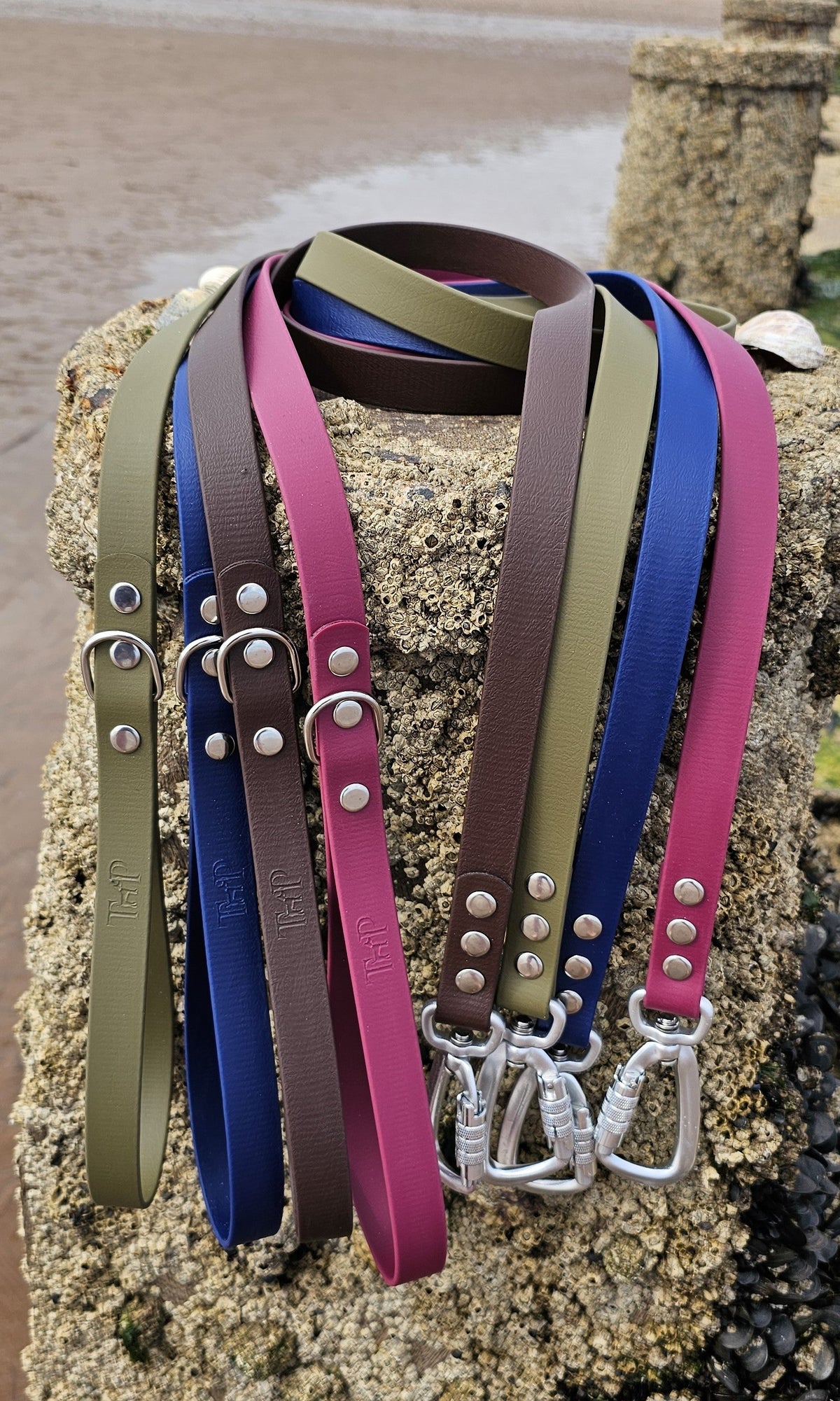 Teal - Everlast Waterproof BioThane© Dog Lead