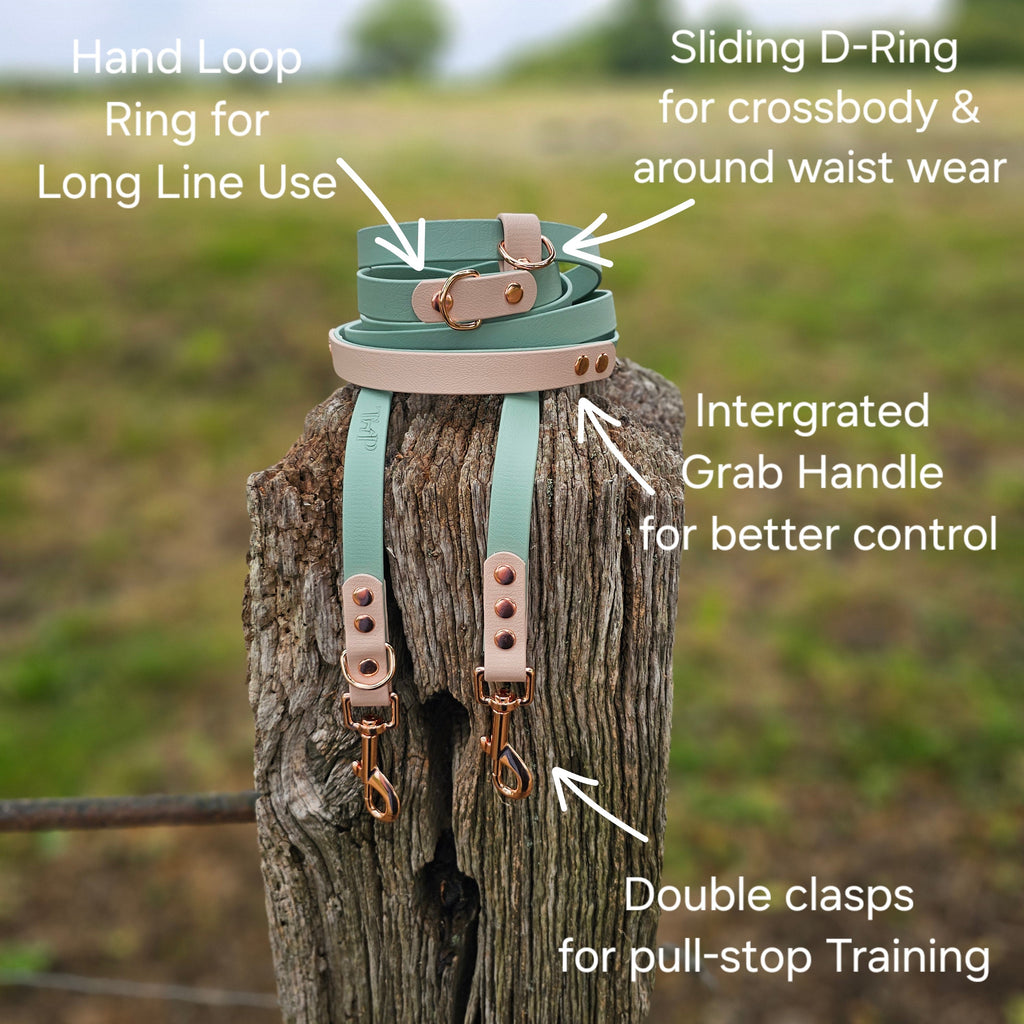 Burgundy & Baby Pink - Waterproof BioThane© handsfree Dog Training Lead