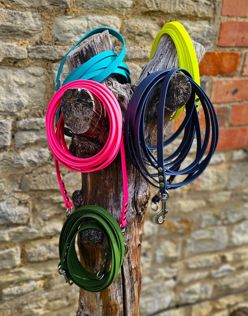 Neon Orange - Classic Waterproof Webbing Dog Long Line Lead