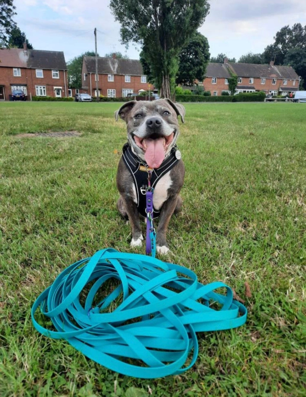 Olive - Waterproof BioThane© Dog Long Line Lead