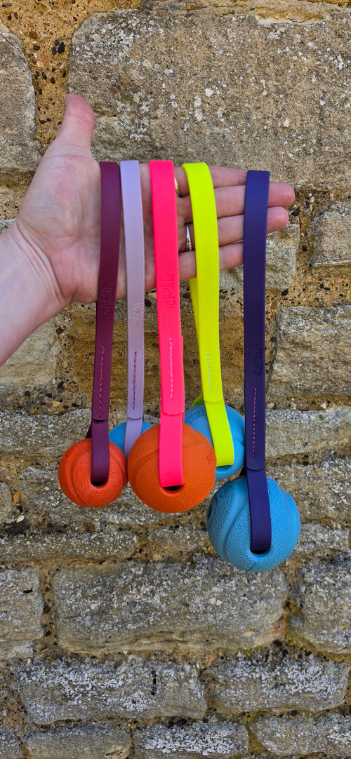 Chuck-It® Ball on Waterproof BioThane® Tug & Launcher Toy